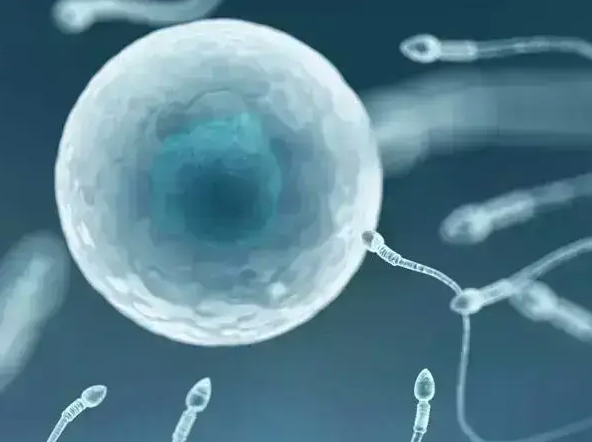 _孕格鲁吉亚际试管婴儿好吗_格鲁吉亚助孕妈妈移植