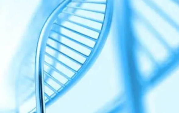 _孕格鲁吉亚际试管婴儿好吗_格鲁吉亚助孕安全吗