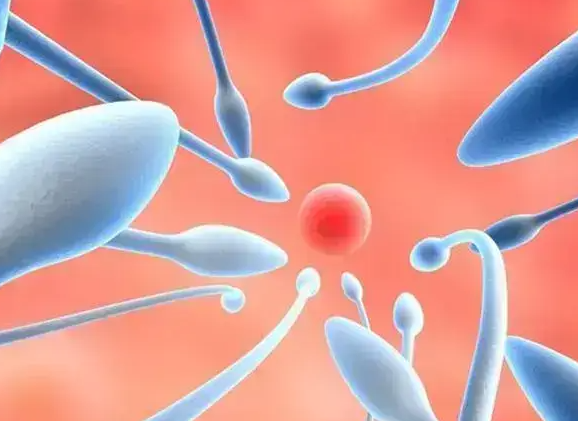 格鲁吉亚助孕安全吗_格鲁吉亚助孕妈妈移植_