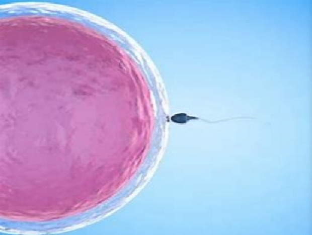 孕格鲁吉亚际试管婴儿好吗__格鲁吉亚助孕妈妈移植