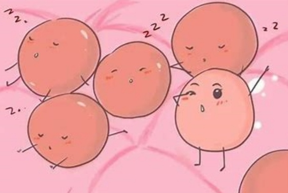 格鲁吉亚助孕安全吗_格鲁吉亚助孕妈妈移植_