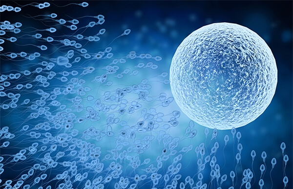 格鲁吉亚试管婴儿成功率比较高