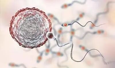 单身可以到格鲁吉亚试管吗__格鲁吉亚试管助孕医院