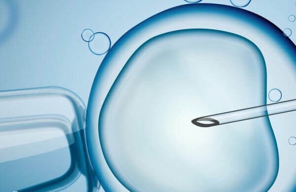 格鲁吉亚试管成功率比国内高