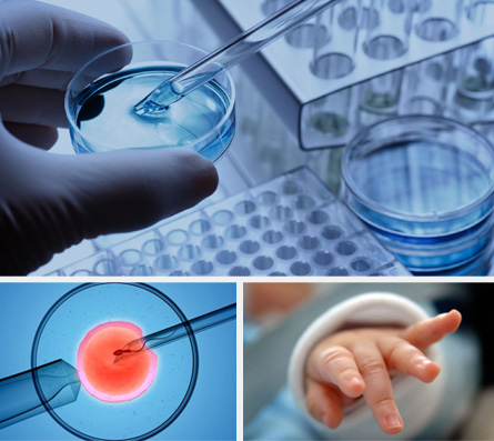 _格鲁吉亚试管婴儿成功案例_专注格鲁吉亚试管婴儿技术