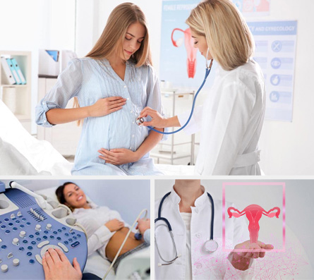 格鲁吉亚试管婴儿治疗的成功率及相关因素_格鲁吉亚试管婴儿治疗的成功率及相关因素_