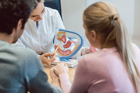 _格鲁吉亚试管婴儿治疗的成功率及相关因素_格鲁吉亚试管婴儿治疗的成功率及相关因素