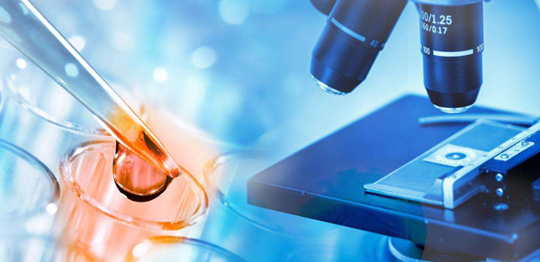 就成功来说两种相差并不大