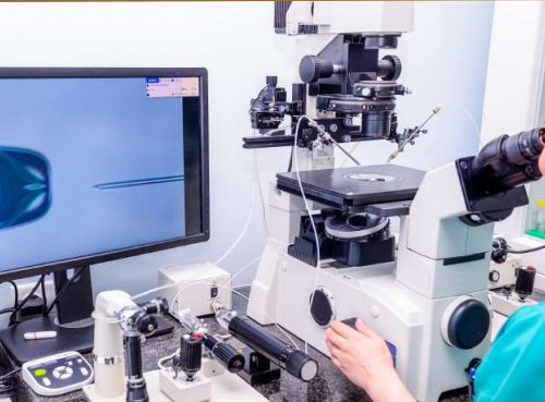 格鲁吉亚全球试管生殖中心_格鲁吉亚试管婴儿包成功_