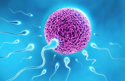 格鲁吉亚全球试管生殖中心_格鲁吉亚试管婴儿包成功_