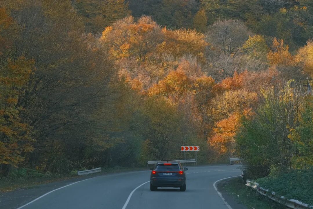 格鲁吉亚旅行攻略_格鲁吉亚助孕合法中介_高加索三国文化之旅