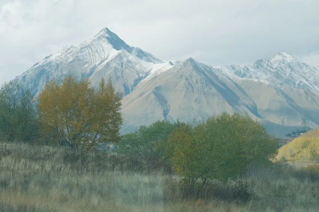 格鲁吉亚助孕合法中介_格鲁吉亚旅行攻略_高加索三国文化之旅