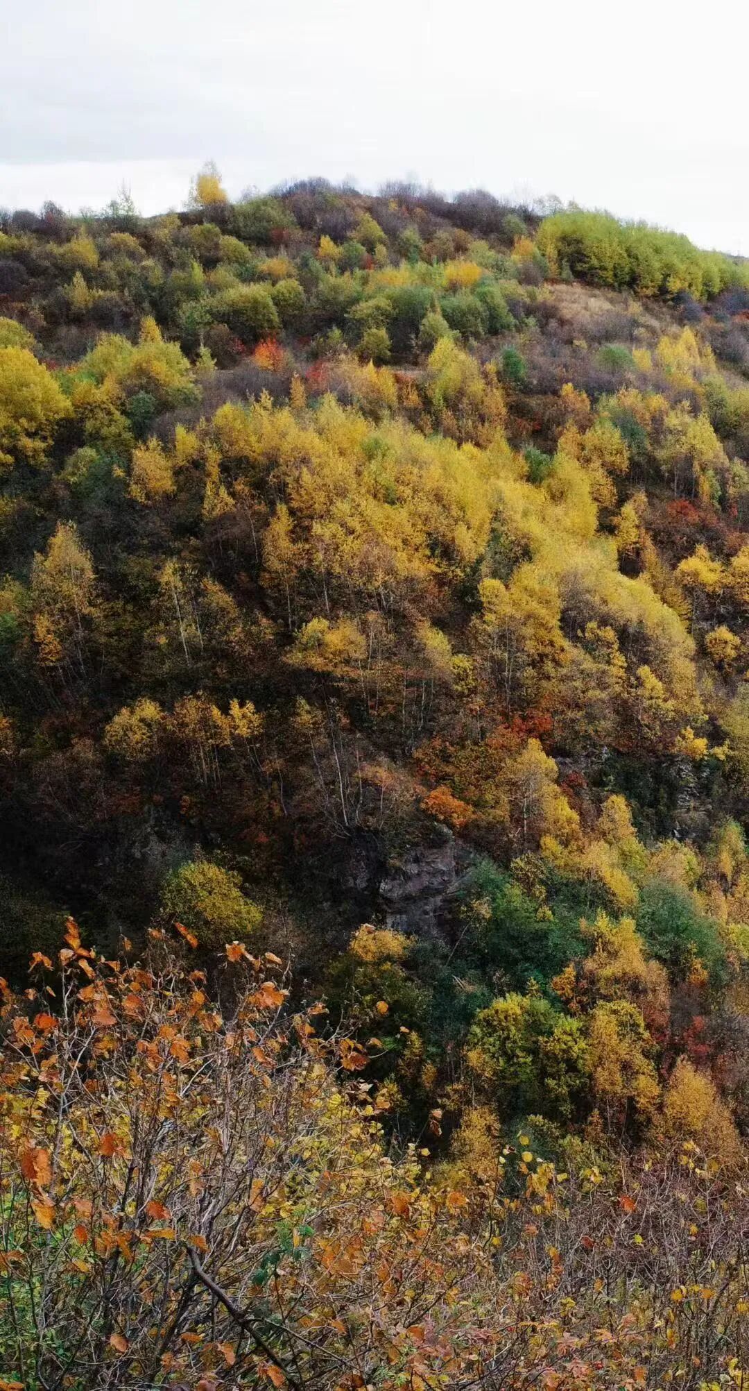格鲁吉亚助孕合法中介_高加索三国文化之旅_格鲁吉亚旅行攻略