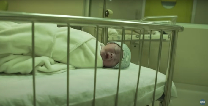 格鲁吉亚助孕价格_格鲁吉亚助孕孩子费用_格鲁吉亚助孕妈妈移植