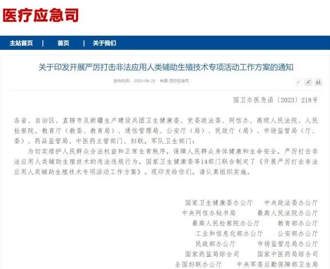 格鲁吉亚助孕公司有哪些_非法代孕 广西星回公司 代孕合同