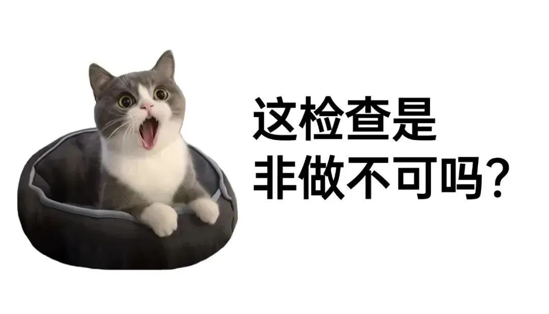 辅助生殖检查注意事项_人工授精试管婴儿检查项目及时间_格鲁吉亚助孕公司流程