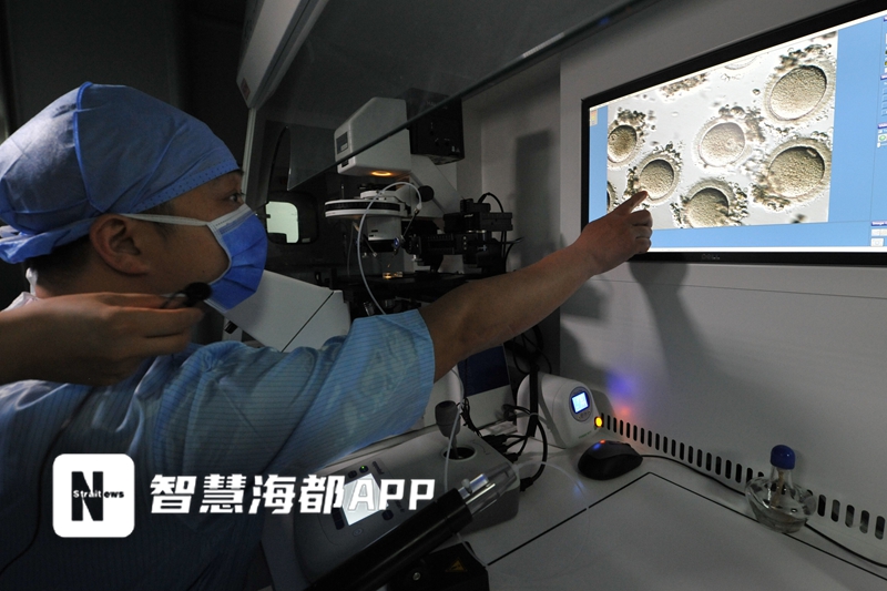 格鲁吉亚助孕孩子费用_辅助生殖技术医保报销比例_福建省辅助生殖技术医保报销政策