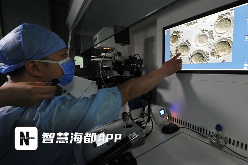 福建辅助生殖技术医保报销_福建取卵术纳入医保_格鲁吉亚助孕价格明细表