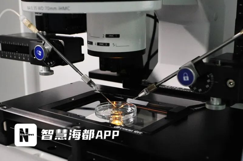 福建辅助生殖技术医保报销_福建取卵术纳入医保_格鲁吉亚助孕价格明细表