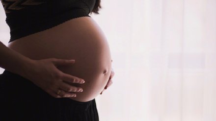 代孕生子费用承担_代孕婴儿存活问题_格鲁吉亚助孕合法中介